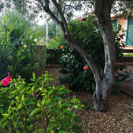 La Casa Nel Borgo Villa Chia Eksteriør bilde