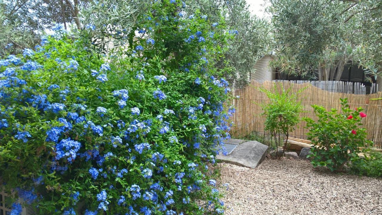 La Casa Nel Borgo Villa Chia Eksteriør bilde